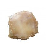 Buffalo Skin