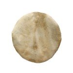 Goat Skins (shaved)