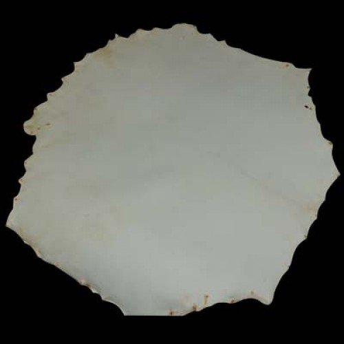 Goat Skins Egg Shell