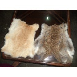 Rabbit Skin