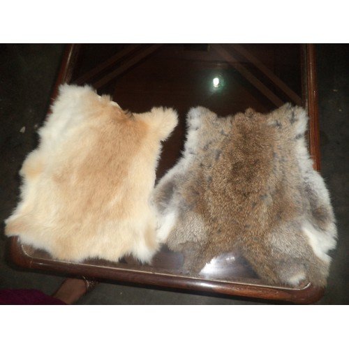 Rabbit Skin