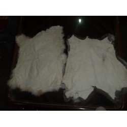 Rabbit Skin