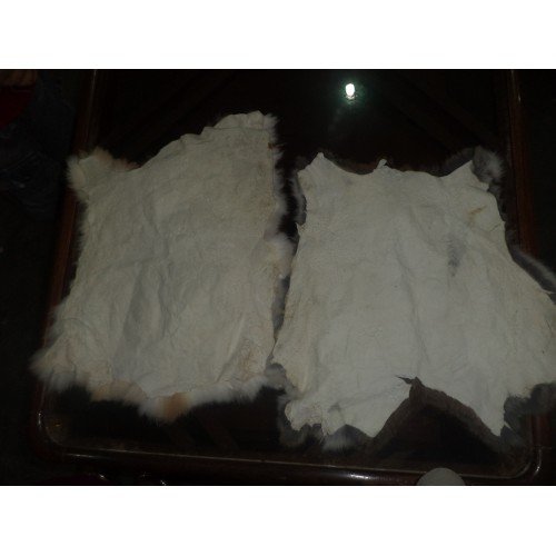 Rabbit Skin